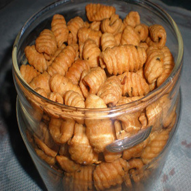 Kue Kacang Siput 200 GR (Isi 2)