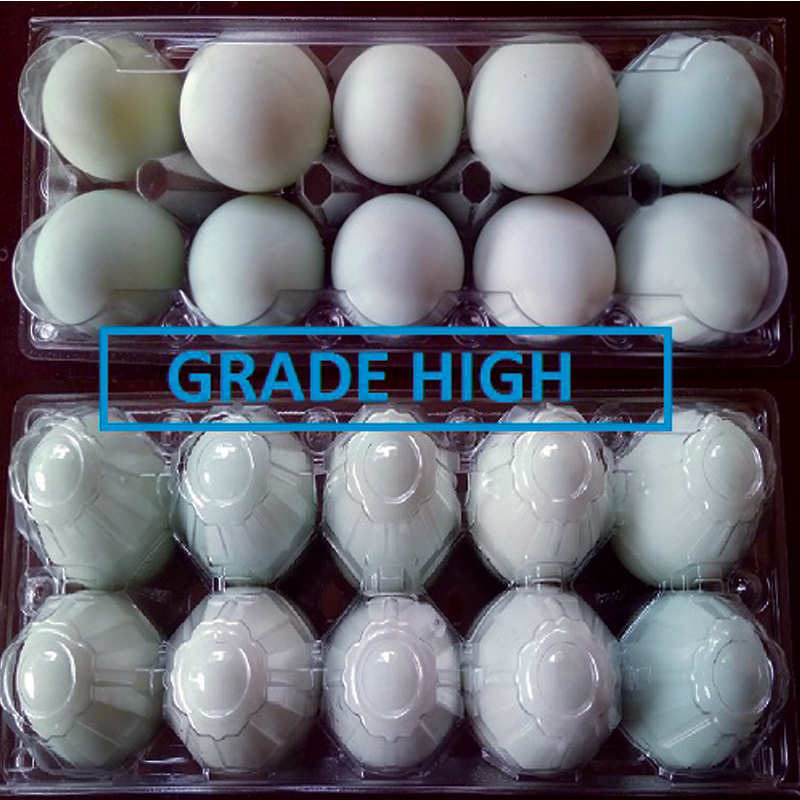 Telur Asin High ( 10 pcs )