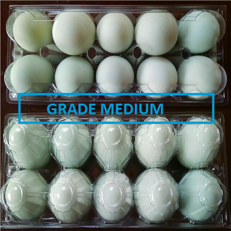 Telur Asin Medium ( 10 pcs )